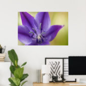 紫花ポスター ポスター (ホームオフィス)