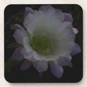 紫花冠 コースター (正面)