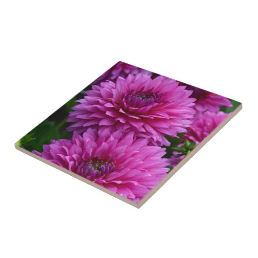 紫花園 タイル (側面)