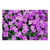 紫花園 ポスター (正面)