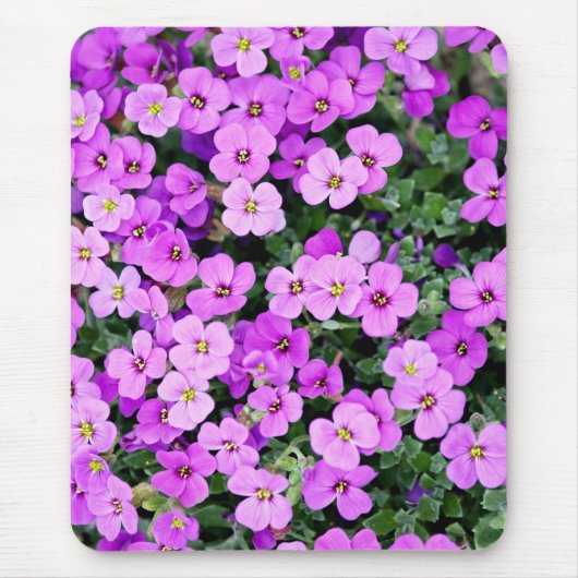 紫花園 マウスパッド (正面)