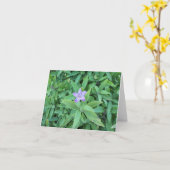 紫花札 カード (黄色い花)