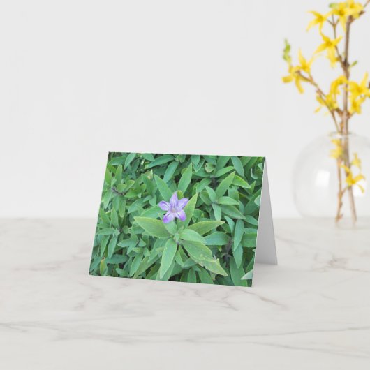 紫花札 カード (黄色い花)