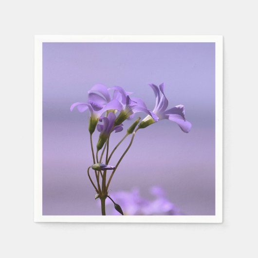 紫花紙ナプキン スタンダードカクテルナプキン (正面)
