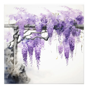 紫花色藤 フォトプリント           