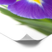 紫花花 ポスター (角)