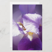 紫花花 便箋 (正面/裏面)