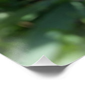 紫花芽 ポスター (コーナー)