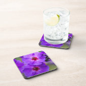紫花 コースター (右側)