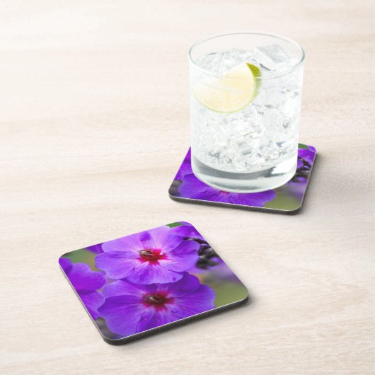 紫花 コースター (右側)