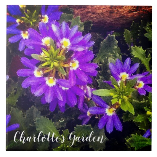 紫花 タイル (正面)