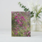 紫花 ポストカード (スタンド正面)