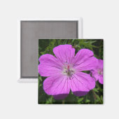 紫花 マグネット (正面/裏面)