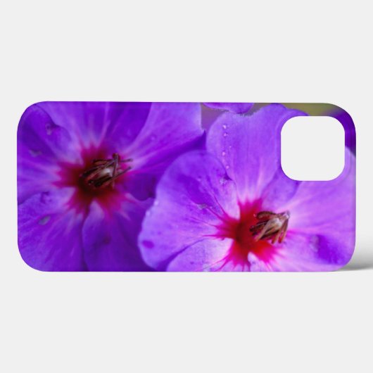 紫花 Case-Mate iPhoneケース (裏面 (横))