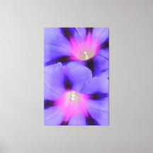 紫芸術的とピンク色の朝顔