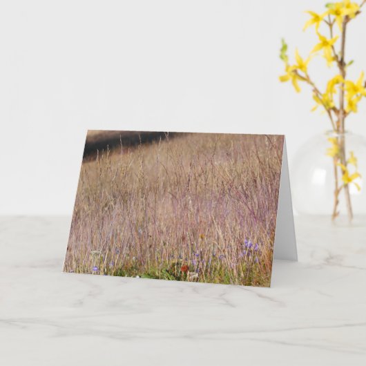紫草と野花 カード (黄色い花)