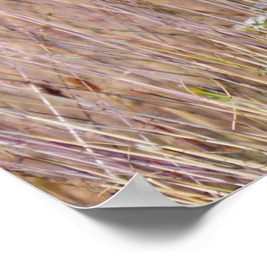 紫草と野花 ポスター (角)