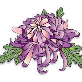 紫菊 マグカップ