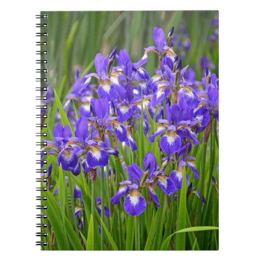 紫菖蒲の花園 ノートブック (正面)