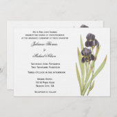 紫菖蒲の花 招待状 (正面/裏面)