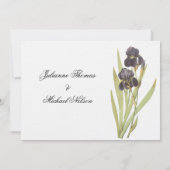 紫菖蒲の花 招待状 (裏面)