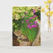 紫菖蒲花園グリーティングカード カード (黄色い花)