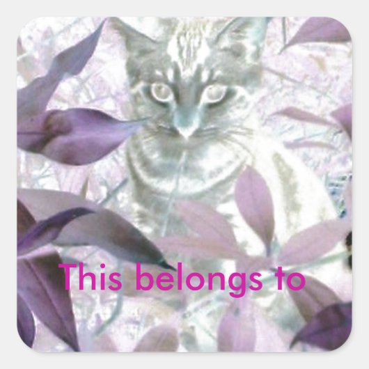 紫葉の子猫は スクエアシール (正面)