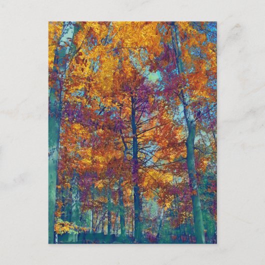 紫葉 ポストカード (正面)