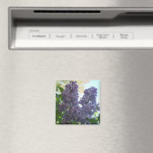 紫薄紫8磁石 マグネット (インサイチュ (食洗機))