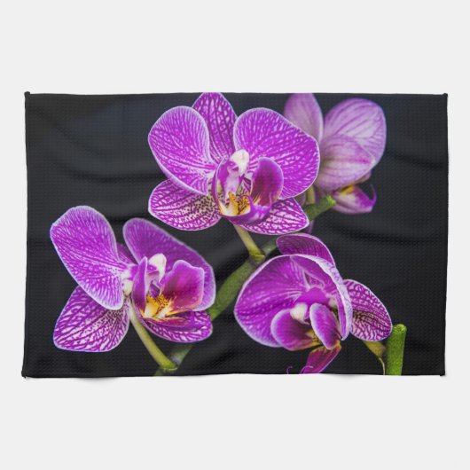 紫蘭 キッチンタオル (横)