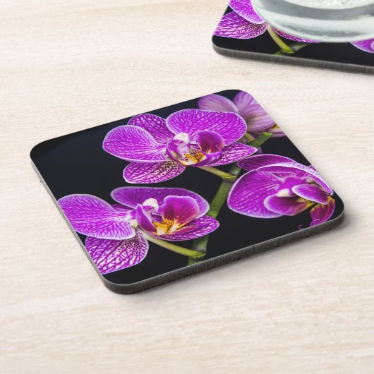 紫蘭 コースター (左側)