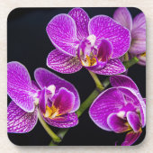 紫蘭 コースター (正面)