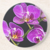 紫蘭 コースター (正面)