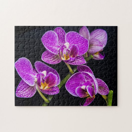 紫蘭 ジグソーパズル (横)