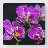 紫蘭 スクエア壁時計 (正面)