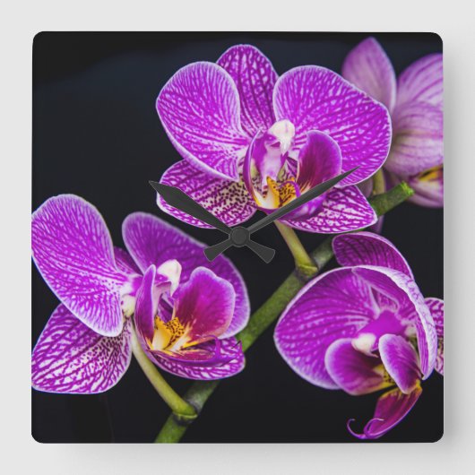 紫蘭 スクエア壁時計 (正面)