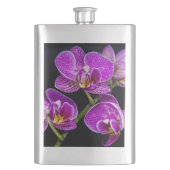 紫蘭 フラスク (正面)