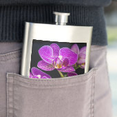 紫蘭 フラスク (インサイチュ)