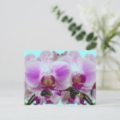 紫蘭 ポストカード (スタンド正面)