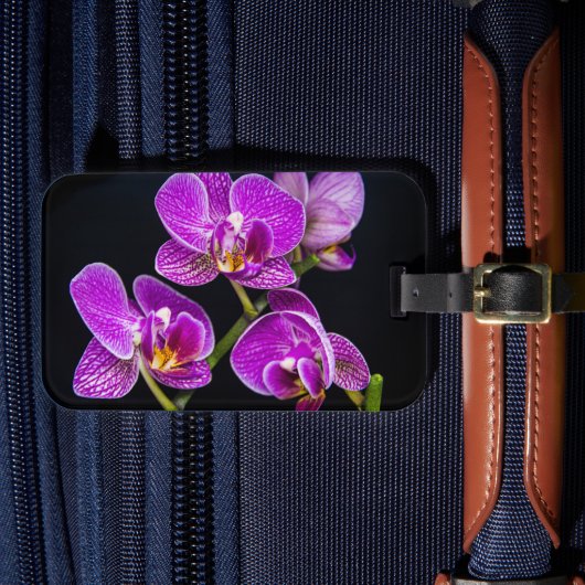 紫蘭 ラゲッジタグ (正面インサイチュ4)