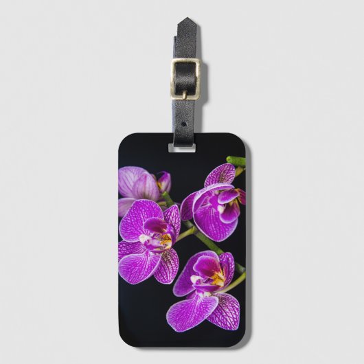 紫蘭 ラゲッジタグ (正面縦)