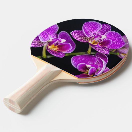 紫蘭 卓球ラケット (正面アングル)