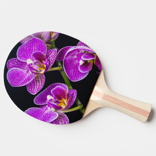 紫蘭 卓球ラケット (横)