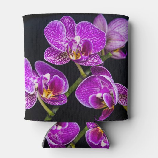 紫蘭 缶クーラー (裏面)