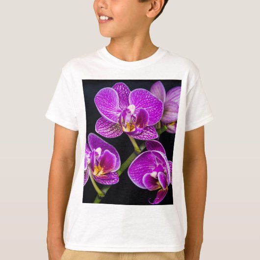 紫蘭 Tシャツ (正面)