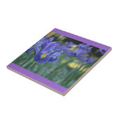 紫虹彩セラミックタイル タイル (側面)