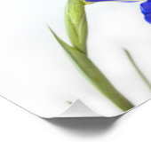 紫虹彩花 フォトプリント            (角)