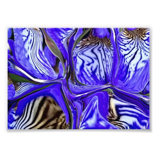 紫虹彩花 フォトプリント            (正面)