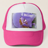 紫虹彩 キャップ (正面)