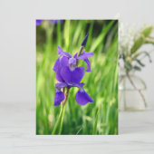 紫虹彩 サンキューカード (スタンド正面)